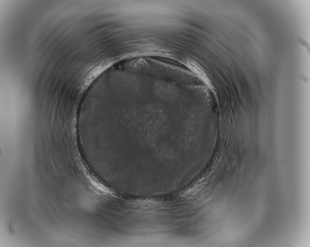 X0000096410389200802141545