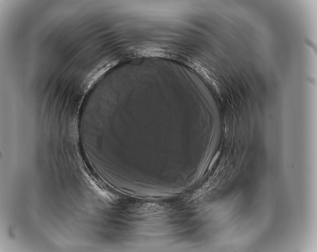 X0000096410390200802141545