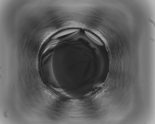 X0000096410391200802141545