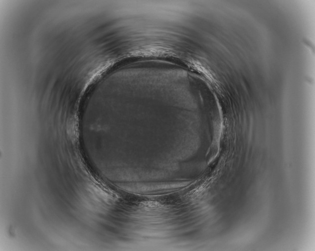 X0000096410392200802141545