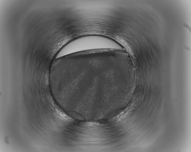 X0000096410393200802141545