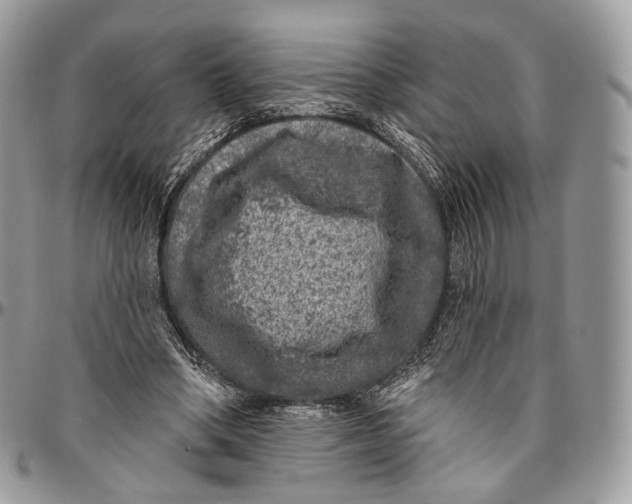 X0000096410394200802141545