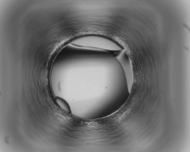 X0000096410395200802141545