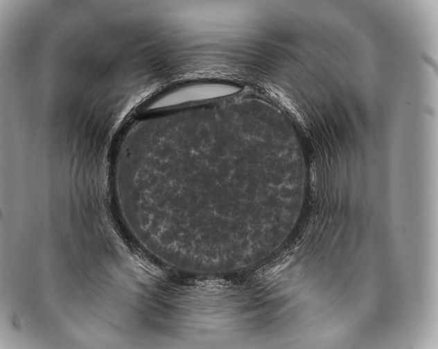 X0000096410396200802141545