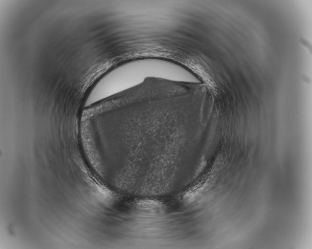 X0000096410397200802141545