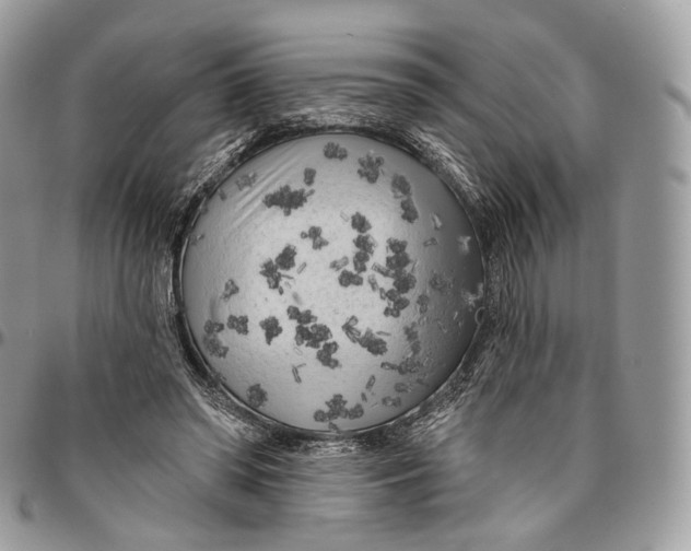 X0000096410398200802141545