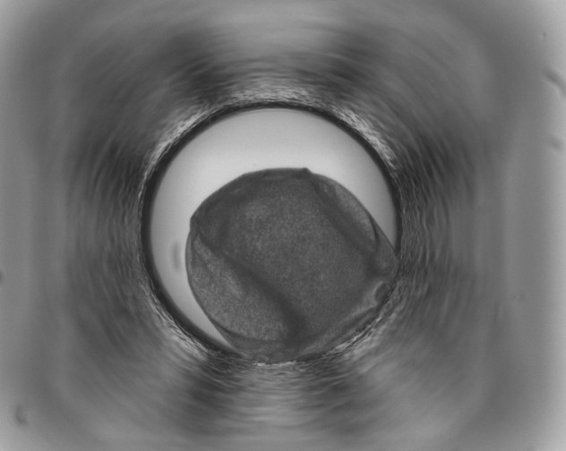 X0000096410399200802141545