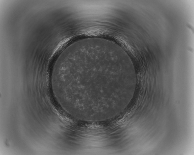 X0000096410400200802141545