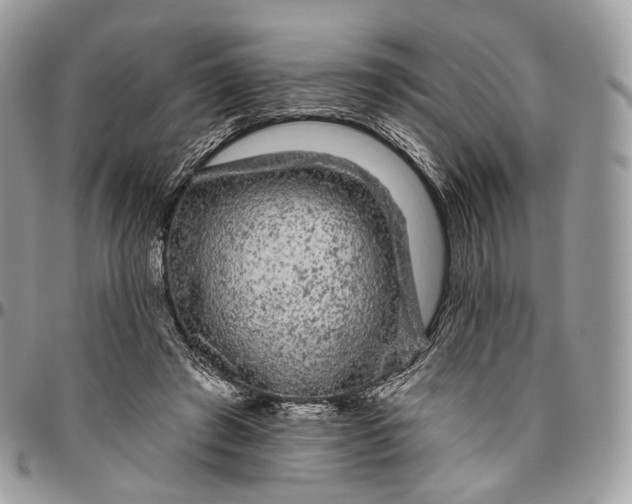 X0000096410401200802141545