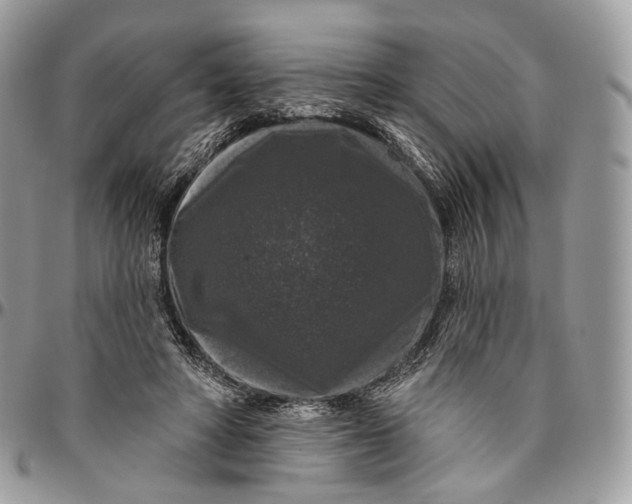 X0000096410402200802141545