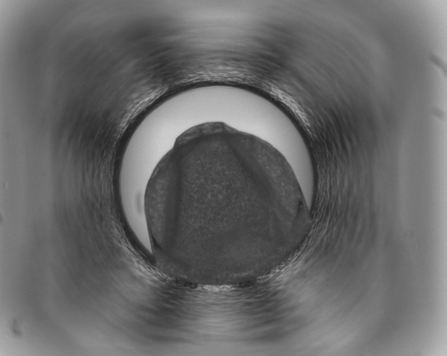 X0000096410403200802141545