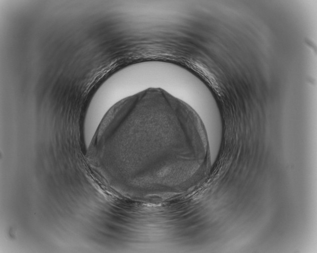 X0000096410405200802141545