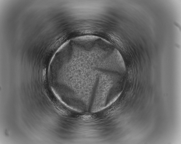 X0000096410406200802141545