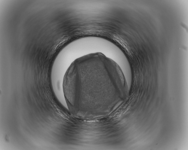 X0000096410407200802141545