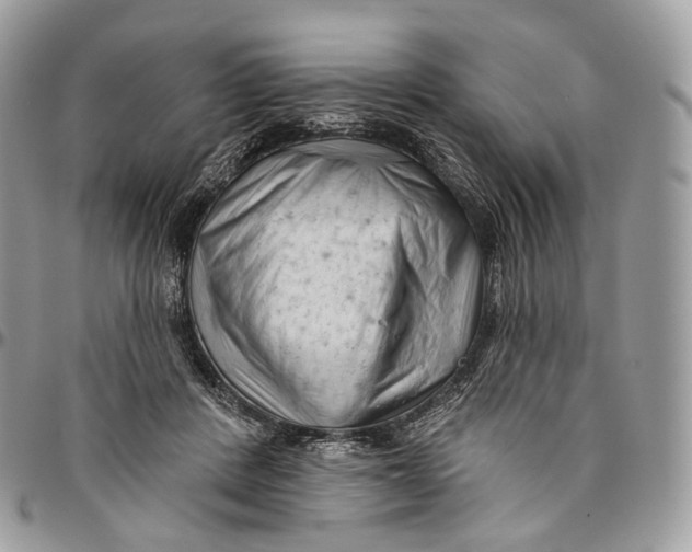 X0000096410408200802141545