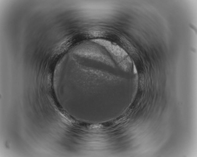 X0000096410410200802141545