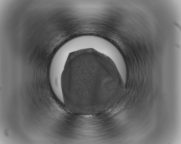 X0000096410411200802141545