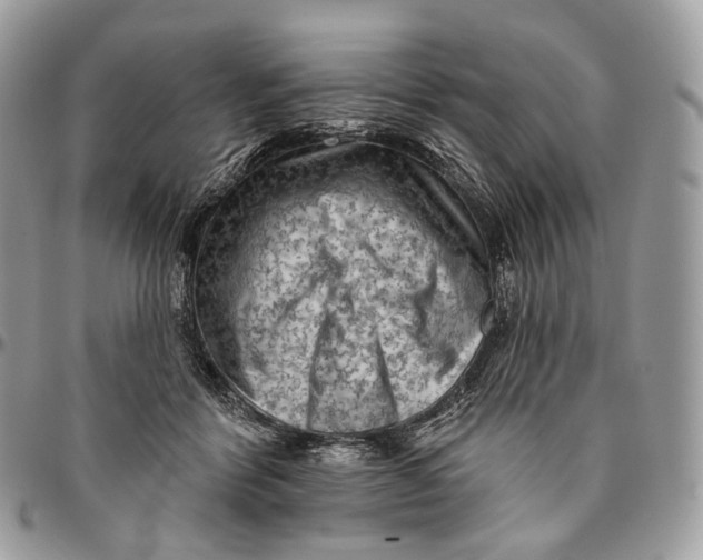 X0000096410412200802141545