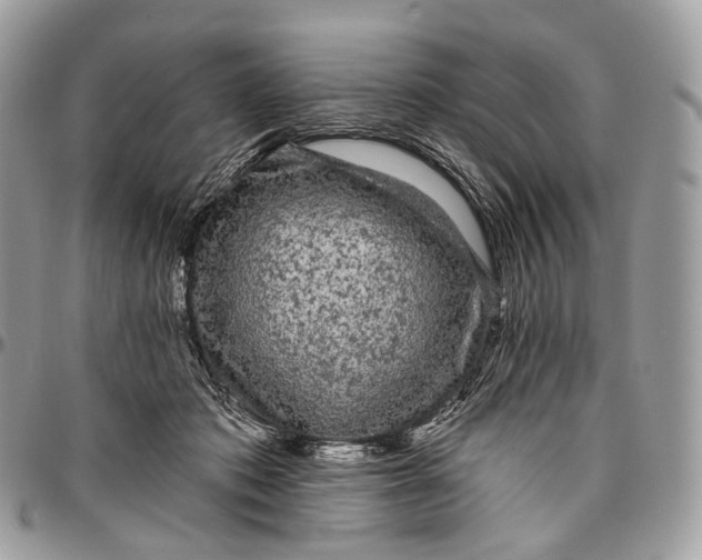 X0000096410413200802141545