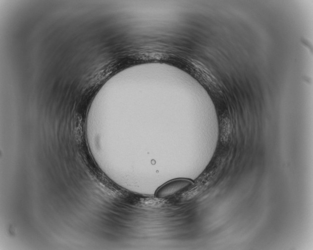 X0000096410414200802141545