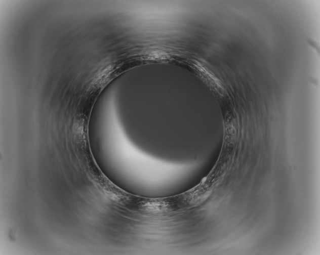 X0000096410415200802141545