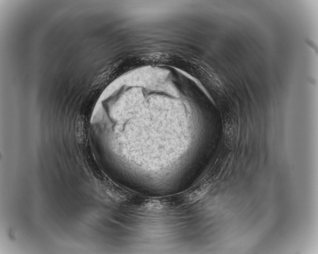 X0000096410416200802141545