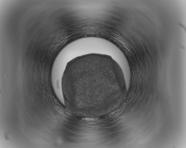 X0000096410417200802141545