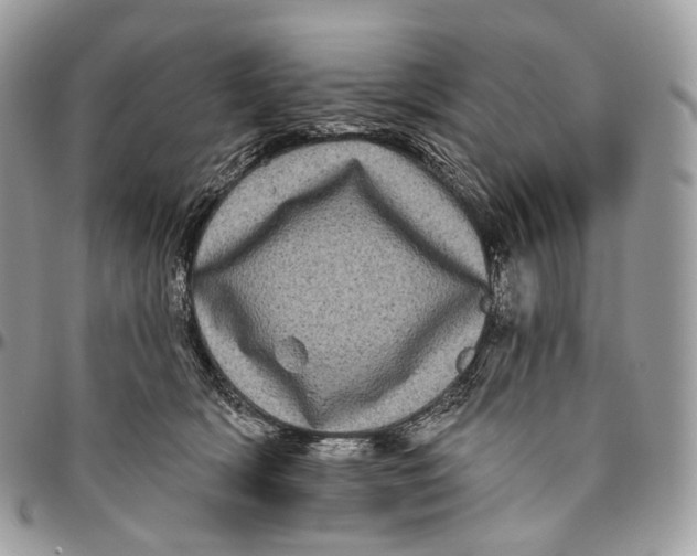 X0000096410418200802141545