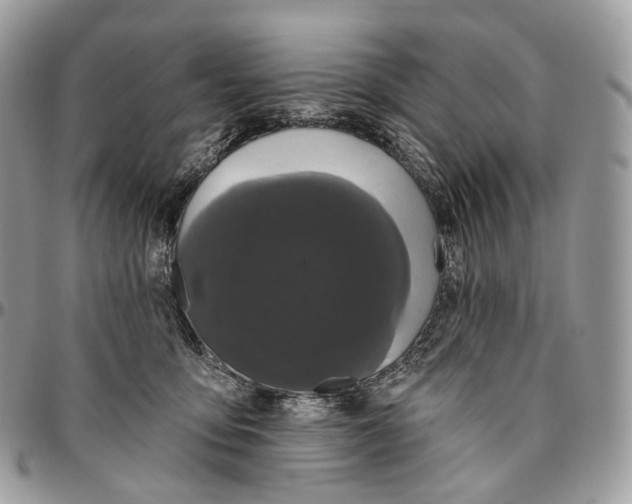 X0000096410419200802141545