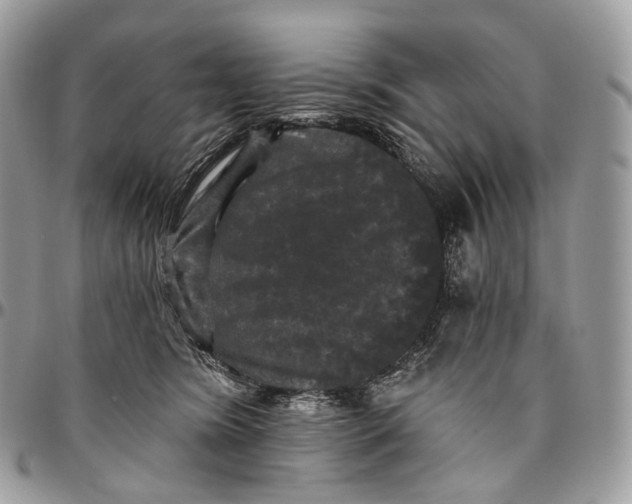 X0000096410420200802141545