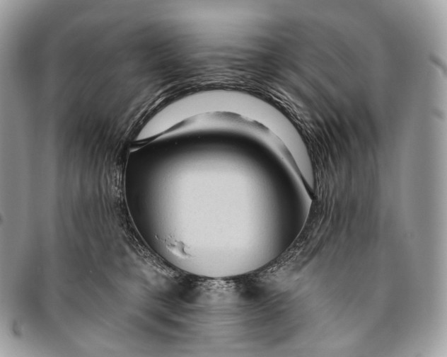 X0000096410421200802141545