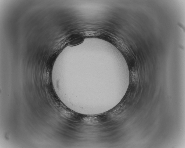 X0000096410422200802141545