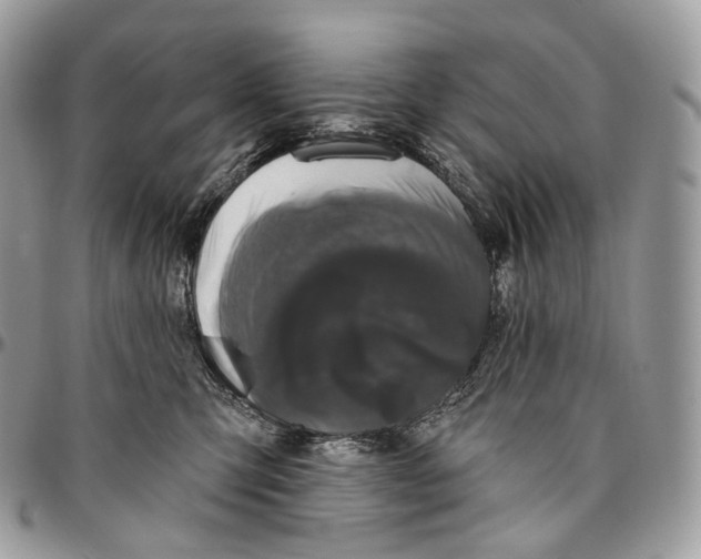 X0000096410423200802141545