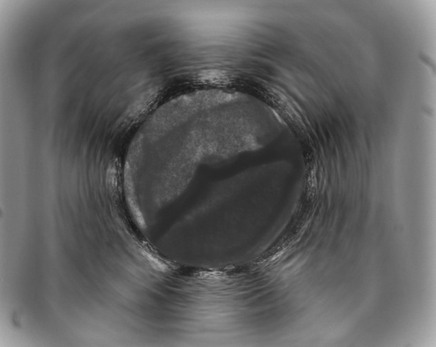 X0000096410424200802141545