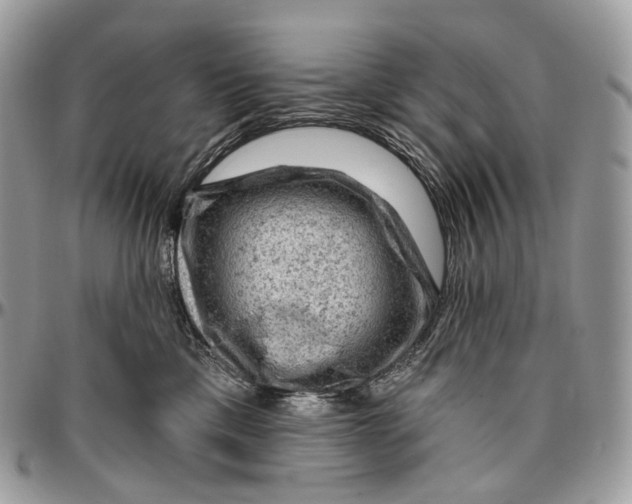 X0000096410425200802141545