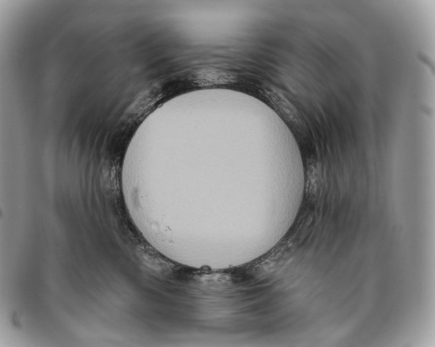 X0000096410426200802141545