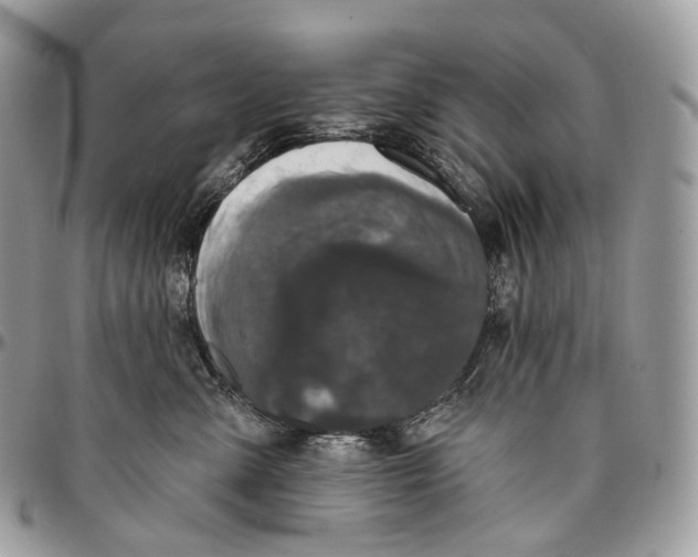 X0000096410427200802141545