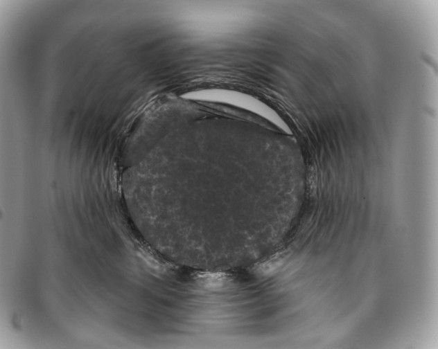 X0000096410428200802141545