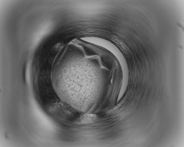 X0000096410429200802141545