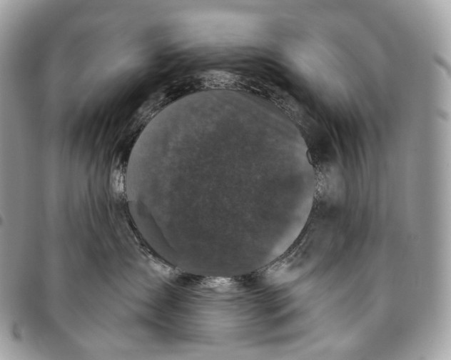 X0000096410431200802141545