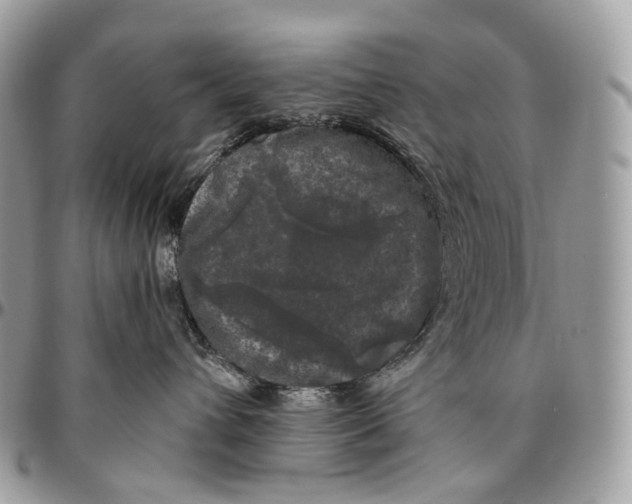 X0000096410432200802141545