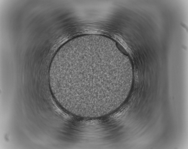 X0000096410433200802141544