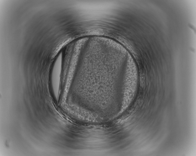 X0000096410434200802141544