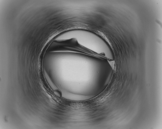 X0000096410435200802141544