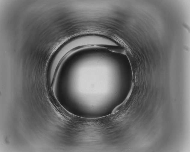 X0000096410436200802141544