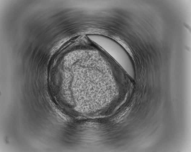 X0000096410437200802141544