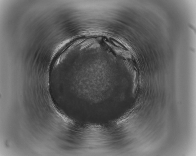 X0000096410438200802141544