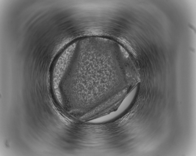 X0000096410439200802141544