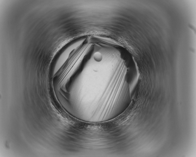 X0000096410440200802141544