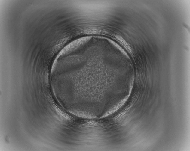 X0000096410441200802141544